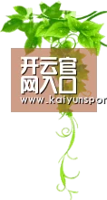 开云官网入口 - 体育电竞真人娱乐