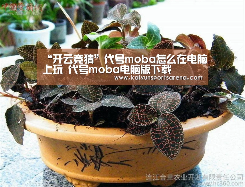 “开云竞猜”代号moba怎么在电脑上玩 代号moba电脑版下载(图1) 开云竞猜