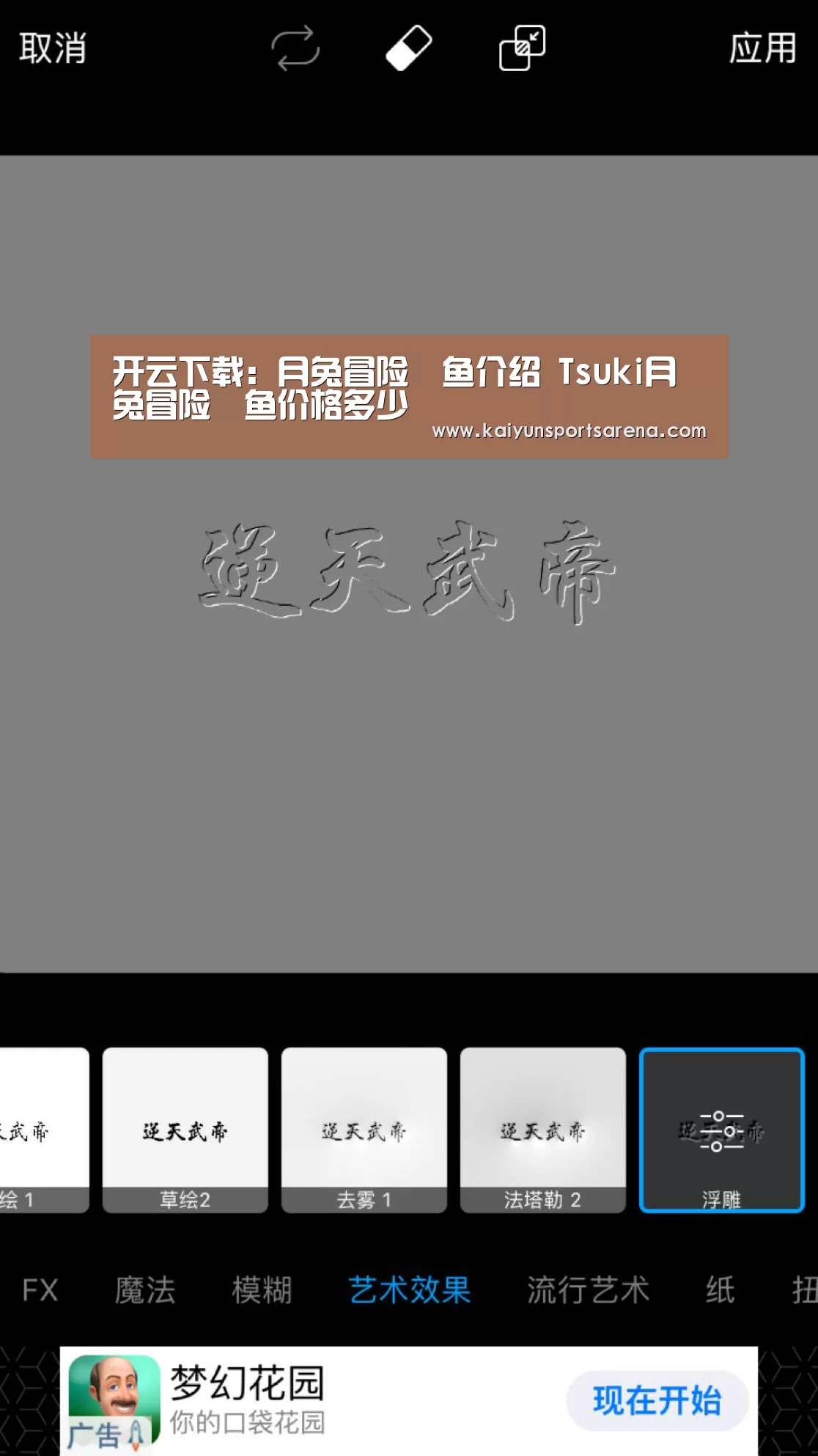 开云下载:月兔冒险鯷鱼介绍 Tsuki月兔冒险鯷鱼价格多少(图3) 开云竞猜
