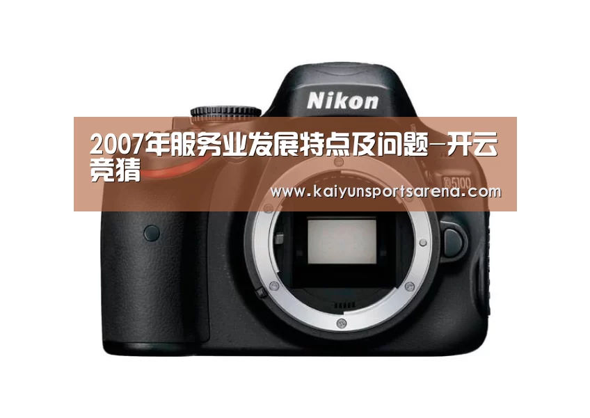 2007年服务业发展特点及问题-开云竞猜(图1) 开云下载