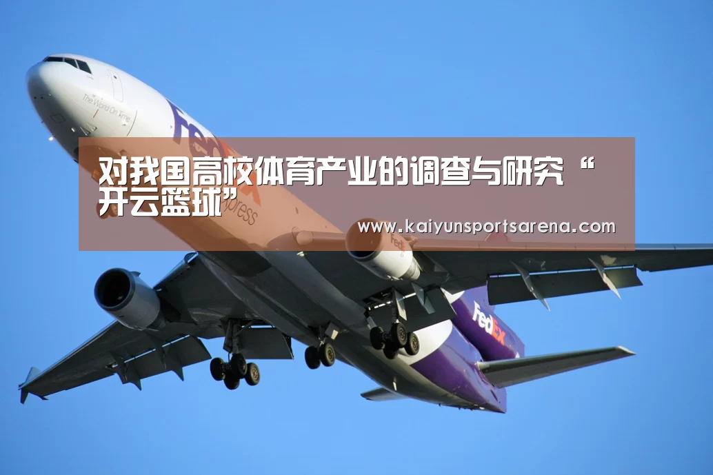 对我国高校体育产业的调查与研究“开云篮球”(图2) 开云百家乐