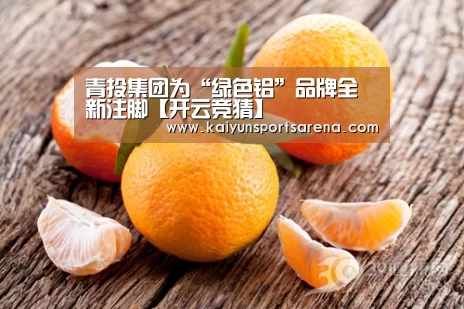 青投集团为“绿色铝”品牌全新注脚【开云竞猜】(图2) 开云下载