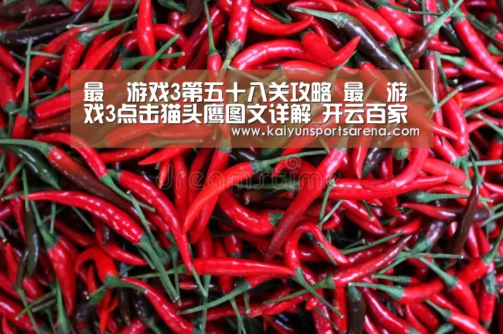 最囧游戏3第五十八关攻略 最囧游戏3点击猫头鹰图文详解_开云百家乐(图3) 开云篮球