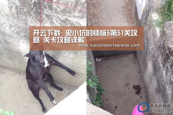 开云下载-史小坑的烦恼5第51关攻略 关卡攻略详解(图2) 开云百家乐