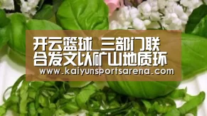 开云篮球_三部门联合发文以矿山地质环境治理恢复基金取代保证金_政策法规_新闻_矿道网(图2) 开云百家乐