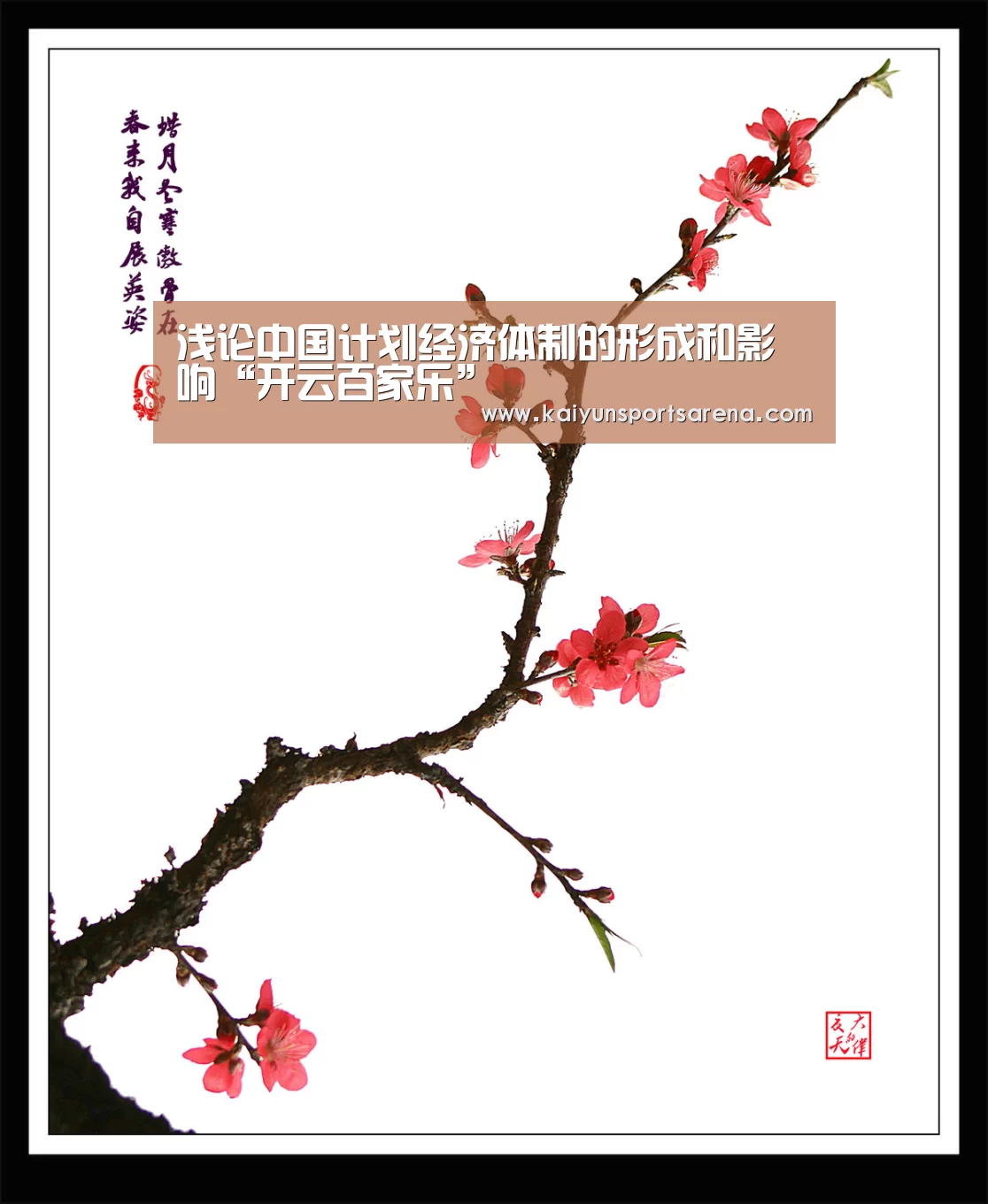 开云百家乐