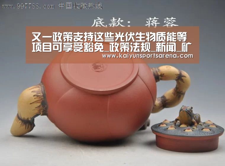 又一政策支持这些光伏生物质能等项目可享受豁免_政策法规_新闻_矿道网|开云下载(图1) 开云篮球