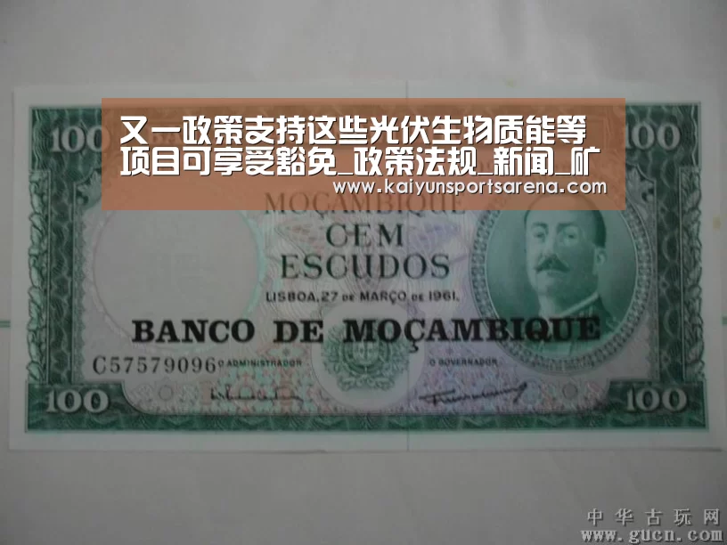 又一政策支持这些光伏生物质能等项目可享受豁免_政策法规_新闻_矿道网|开云下载(图3) 开云竞猜