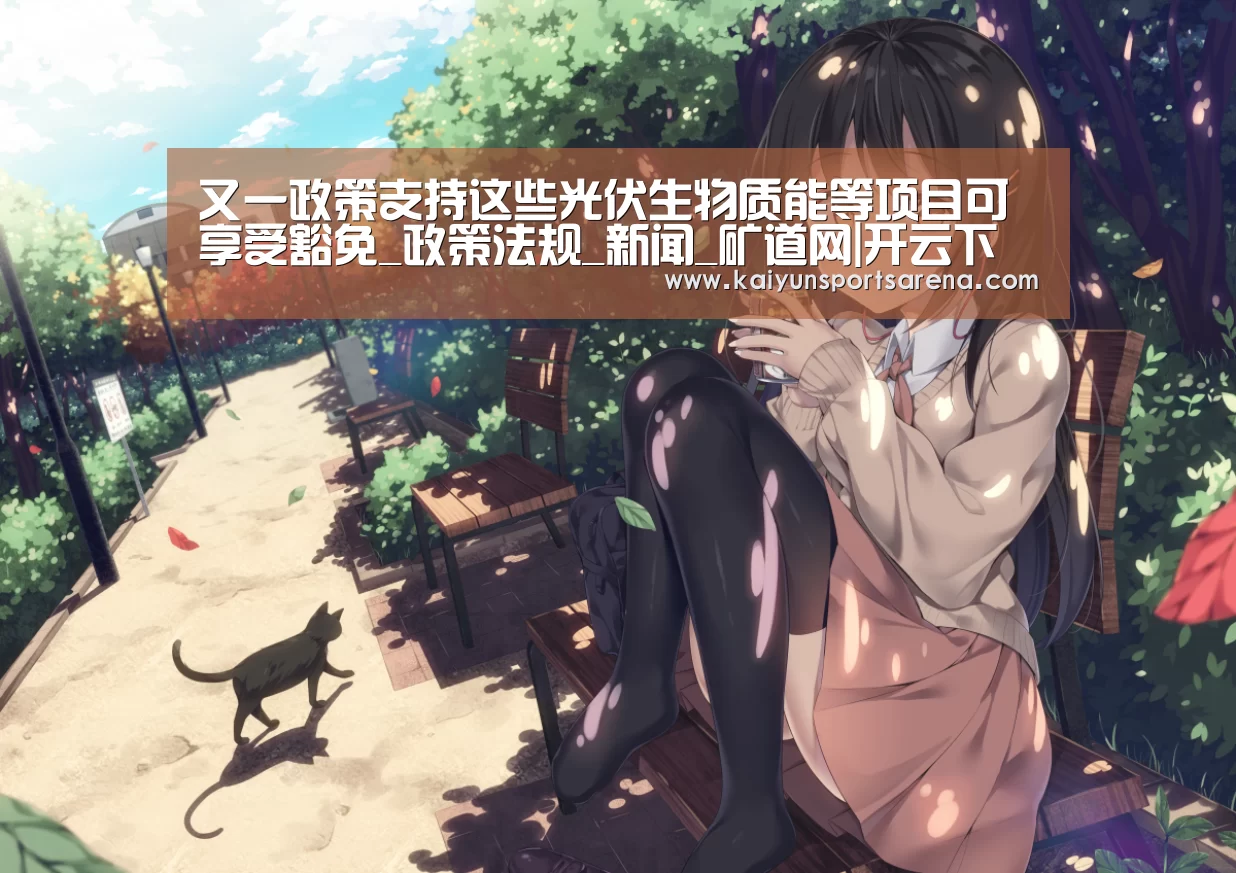 又一政策支持这些光伏生物质能等项目可享受豁免_政策法规_新闻_矿道网|开云下载(图4) 开云百家乐