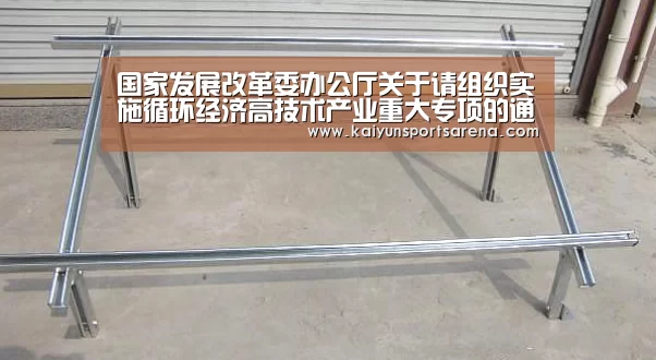 开云竞猜