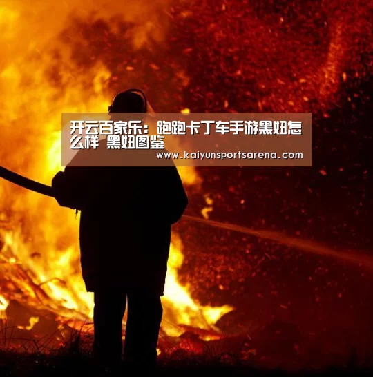 开云百家乐