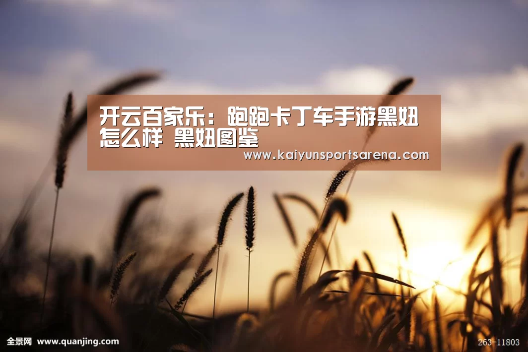开云下载